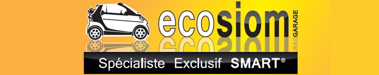 Sp&eacute;cialiste Smart Marseille